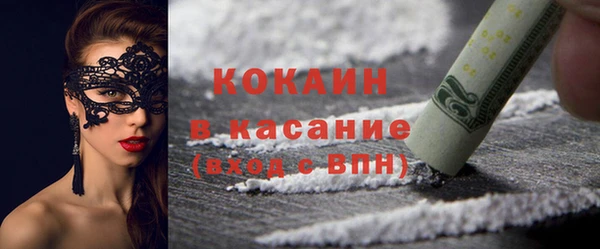 индика Балахна