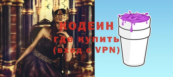 индика Балахна
