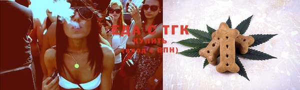 индика Балахна