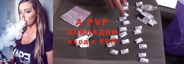индика Балахна