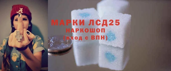индика Балахна
