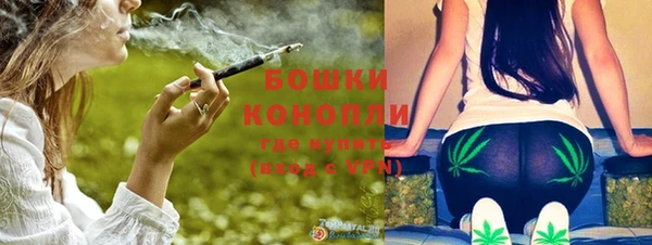 спайс Инсар